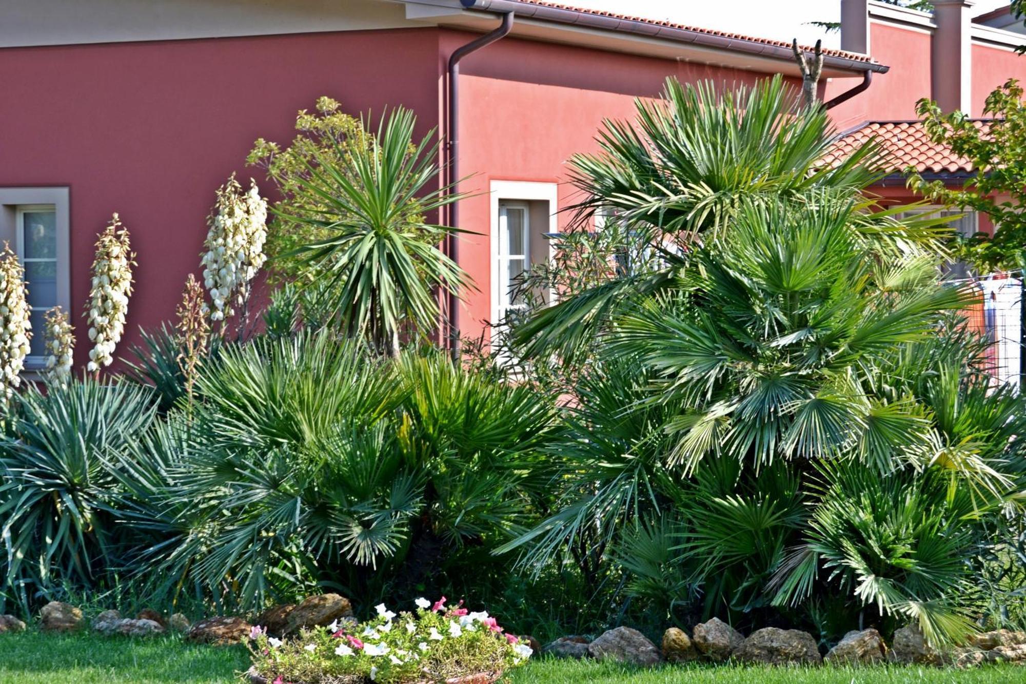 Cevoli Country Resort Lari Esterno foto
