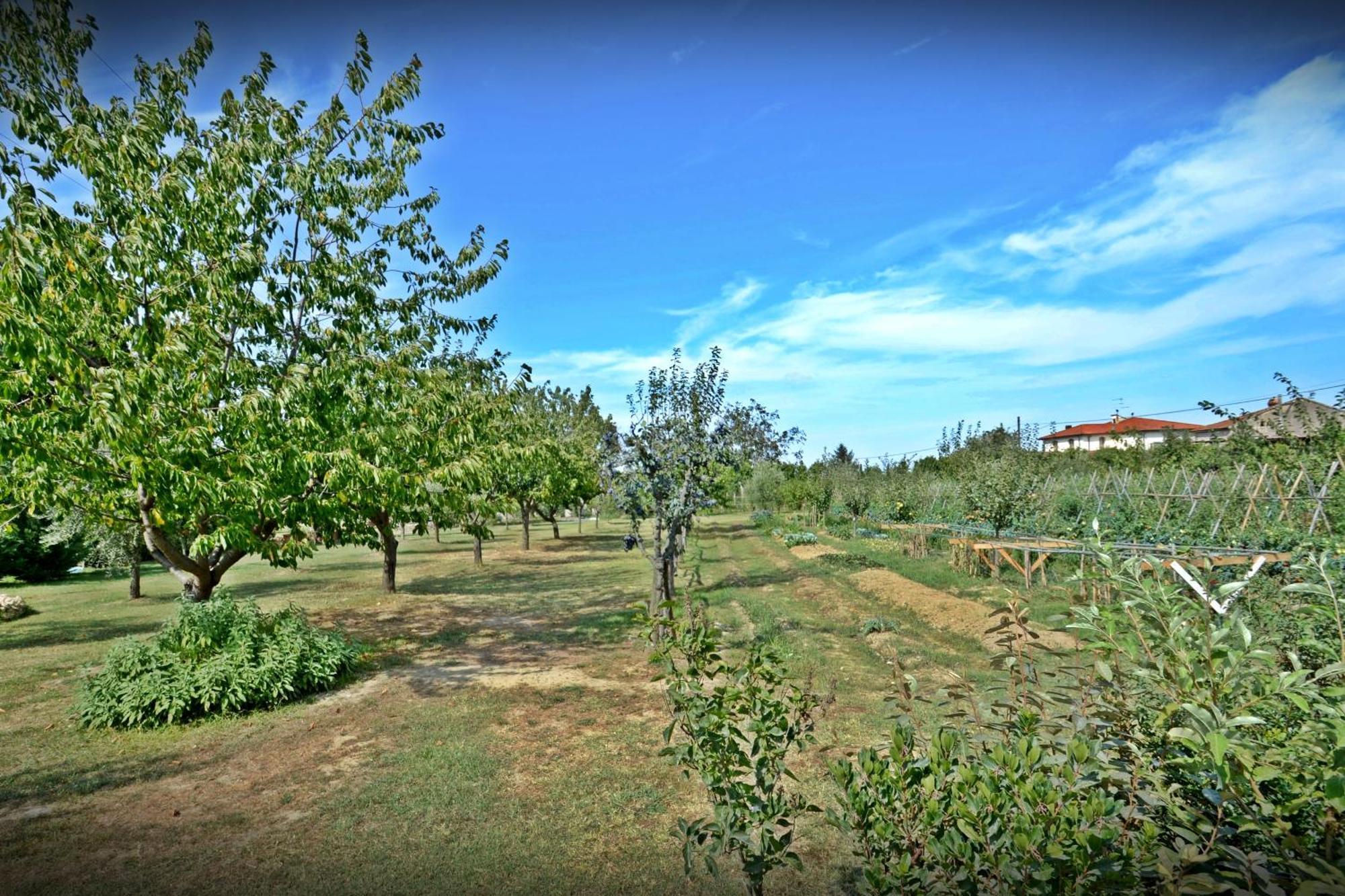 Cevoli Country Resort Lari Esterno foto